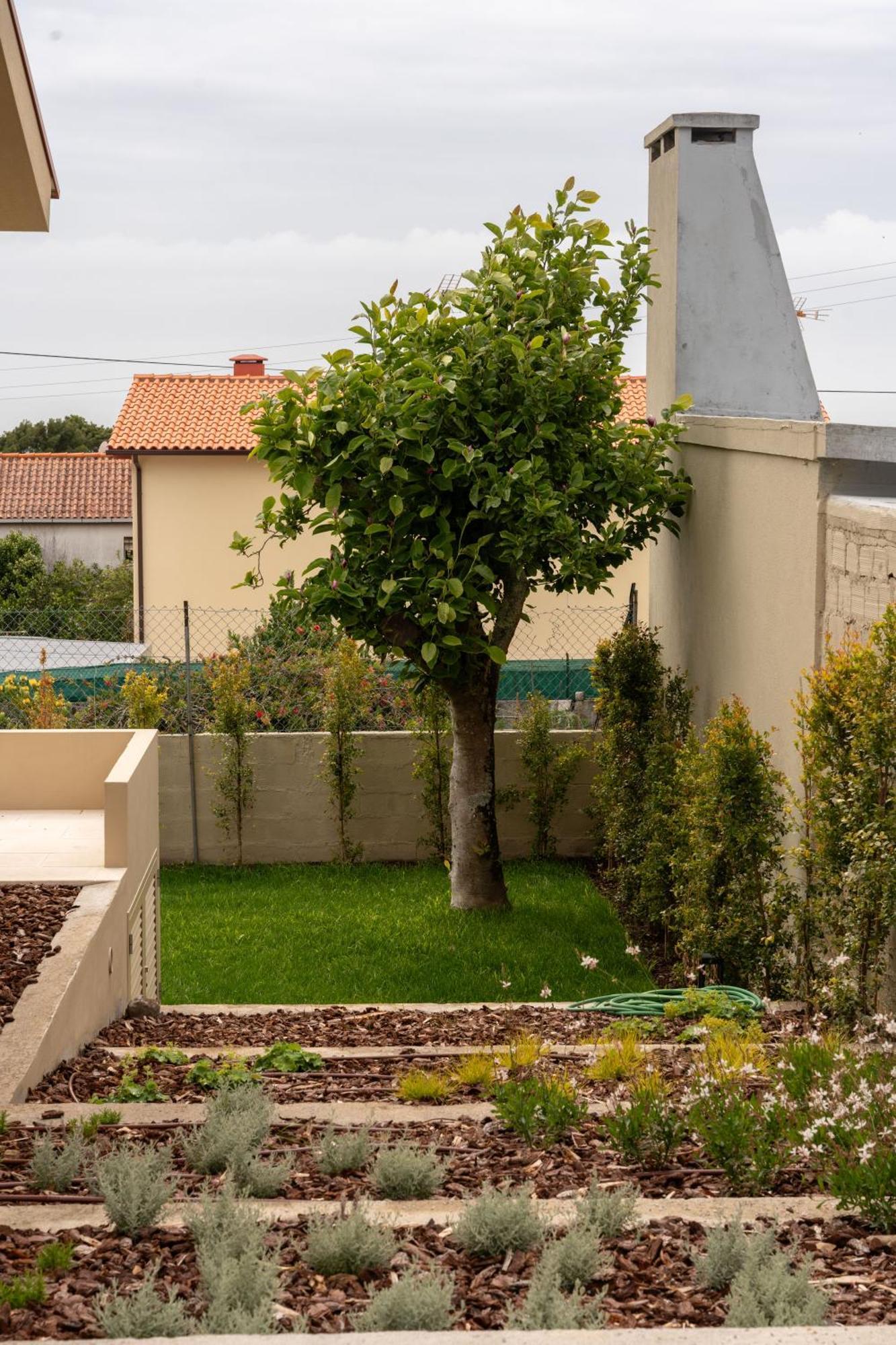 3 Olives House - By 3 Marias Residence Santana  Dış mekan fotoğraf